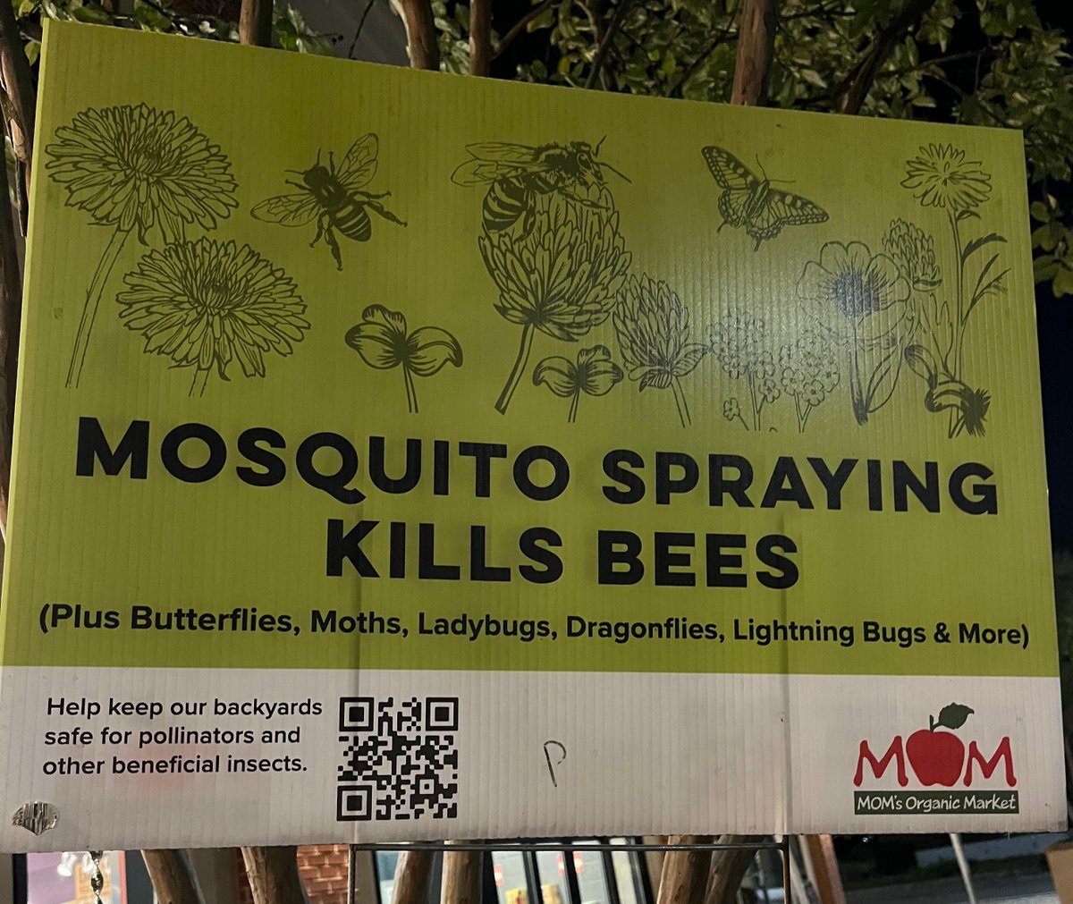 We love this sign at MOM's Organic Market in Arlington, VA! Get the facts about safer #mosquito management: beyondpesticides.org/resources/mosq… #momsorganicmarket #mosquito #pesticides #safemosquitomanagement #pollinators #bees #butterflies #ladybugs #publichealth #environmentalprotection