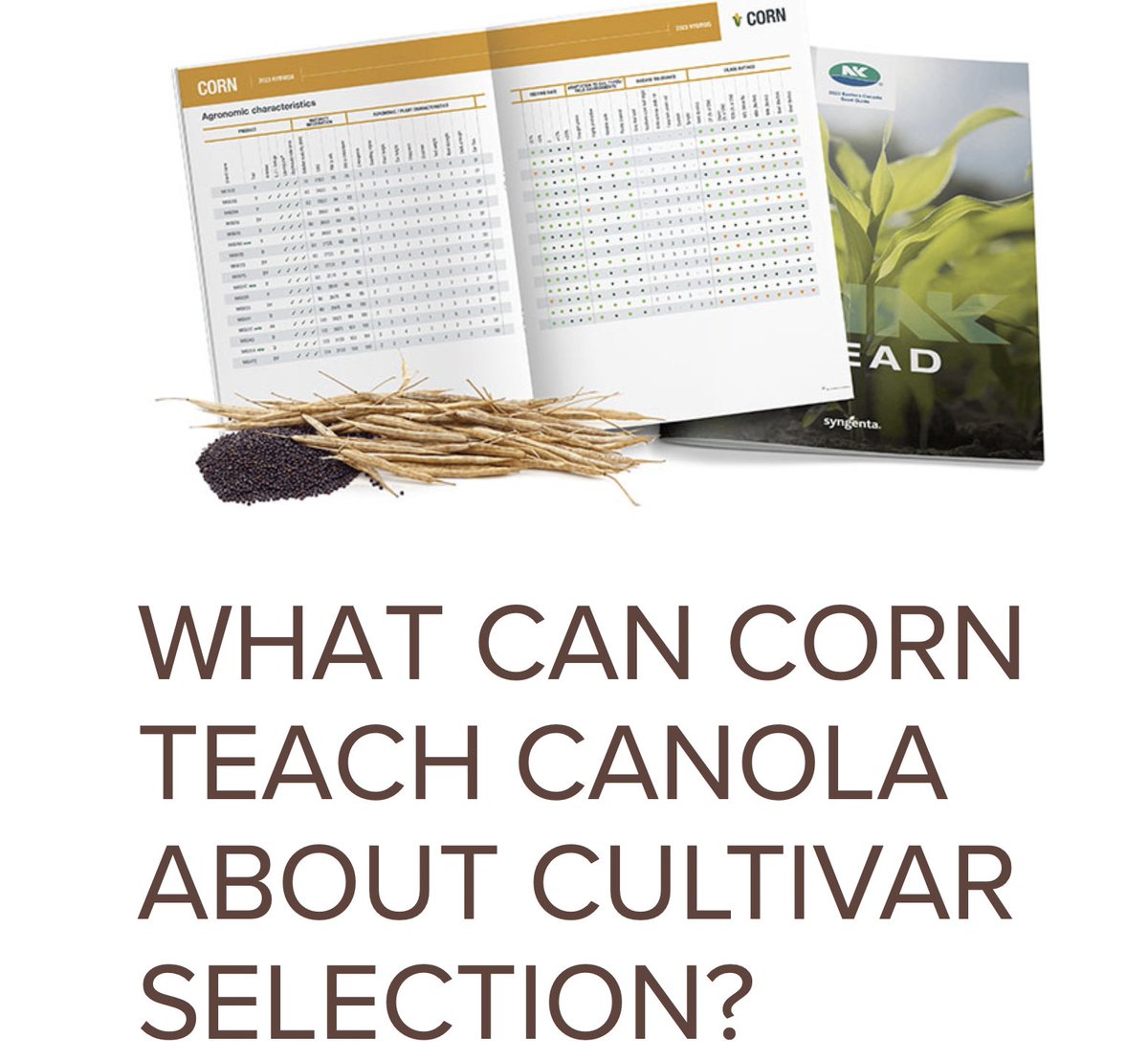 CW Jay Whetter tweet media