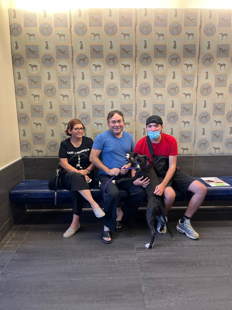 spcaoftexas's tweet photo. This week 85 animals found their fur-ever homes! Your
support helps us find fur-ever homes for these sweet
pets. Help us continue our critical work by selecting the
SPCA of Texas as your charity of choice for
#NTXGivingDay. You can #GivetoSave right here:
https://t.co/n40qRJO6Iq https://t.co/TwztbNfxXD