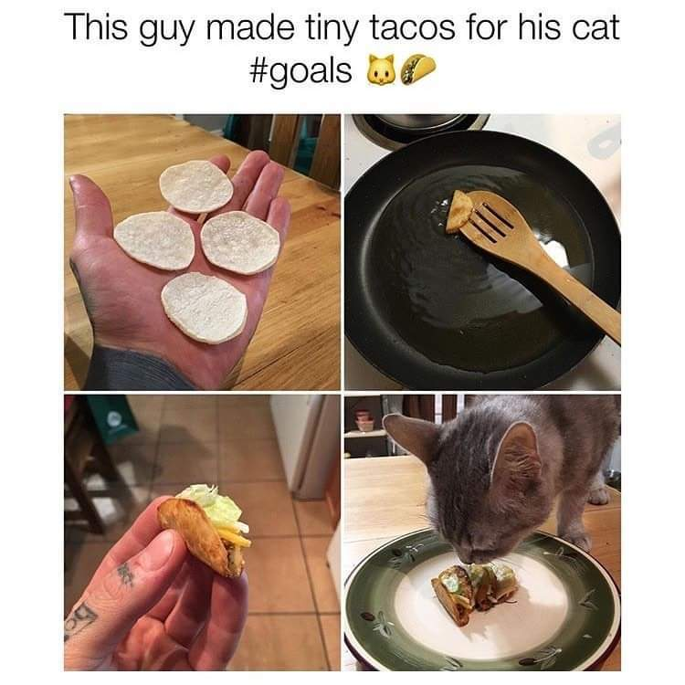 WholesomeMeme's tweet image. 