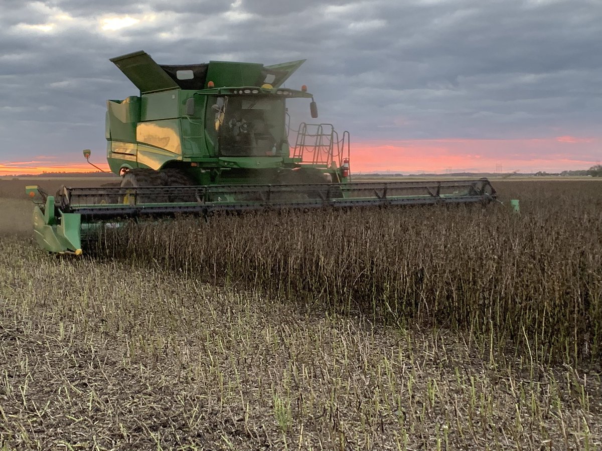 Riddell Seed Co. tweet media