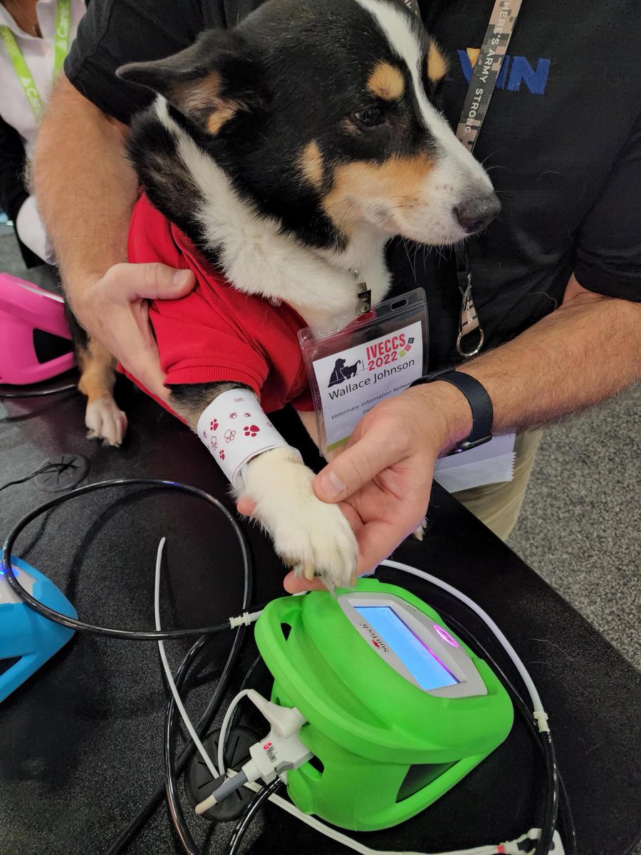 SunTechVetBP's tweet photo. Thanks to everyone who had a chance to visit us at #IVECCS this year! Congrats to Jessica from @VCAPetHealth Family and Oahu Specialty Center on winning a Vet20 in our raffle - &amp; special shout out to Wallace from @VINCommunity, Red, and Aries for being such good patients! https://t.co/S21Z1kOgWv