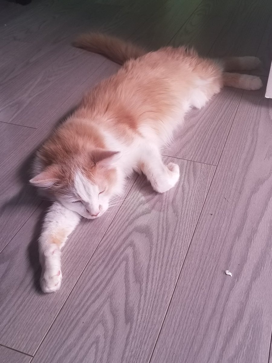 David R Slayton tweet media