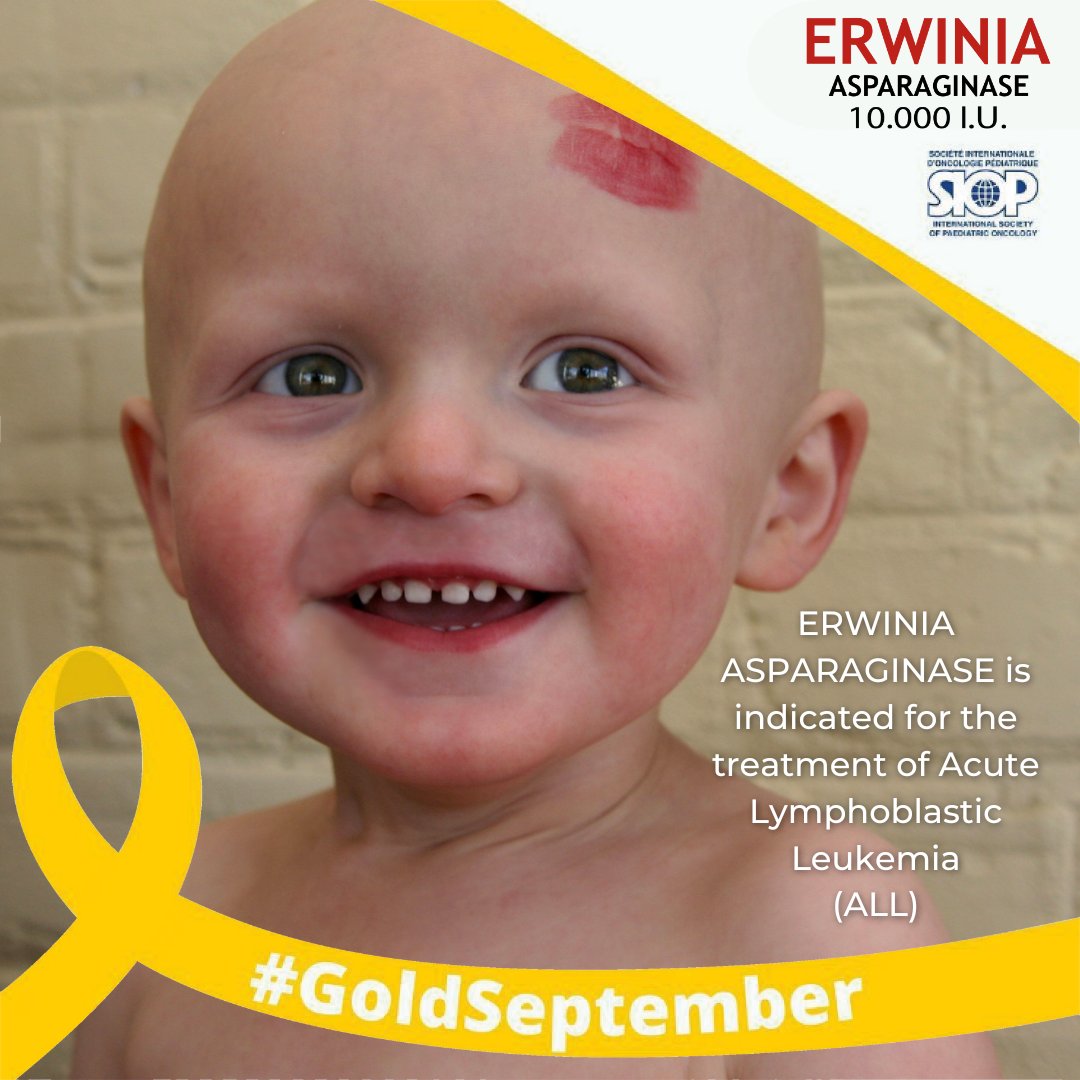 AErwinia's tweet photo. ERWINIA ASPARAGINASA está indicado en el tratamiento de Leucemia Linfoblástica Aguda (LLA)
#Erwinia #SIOP2022 #Asparaginase #Leukemia #Lymphoblastic #Chemiotherapy #Oncology #Cancer #Oncologie #Chimiothérapie #ChildhoodCancerAwarenessMonth
#GoldSeptember #supportkidswithcancer https://t.co/ExKyrQngOE