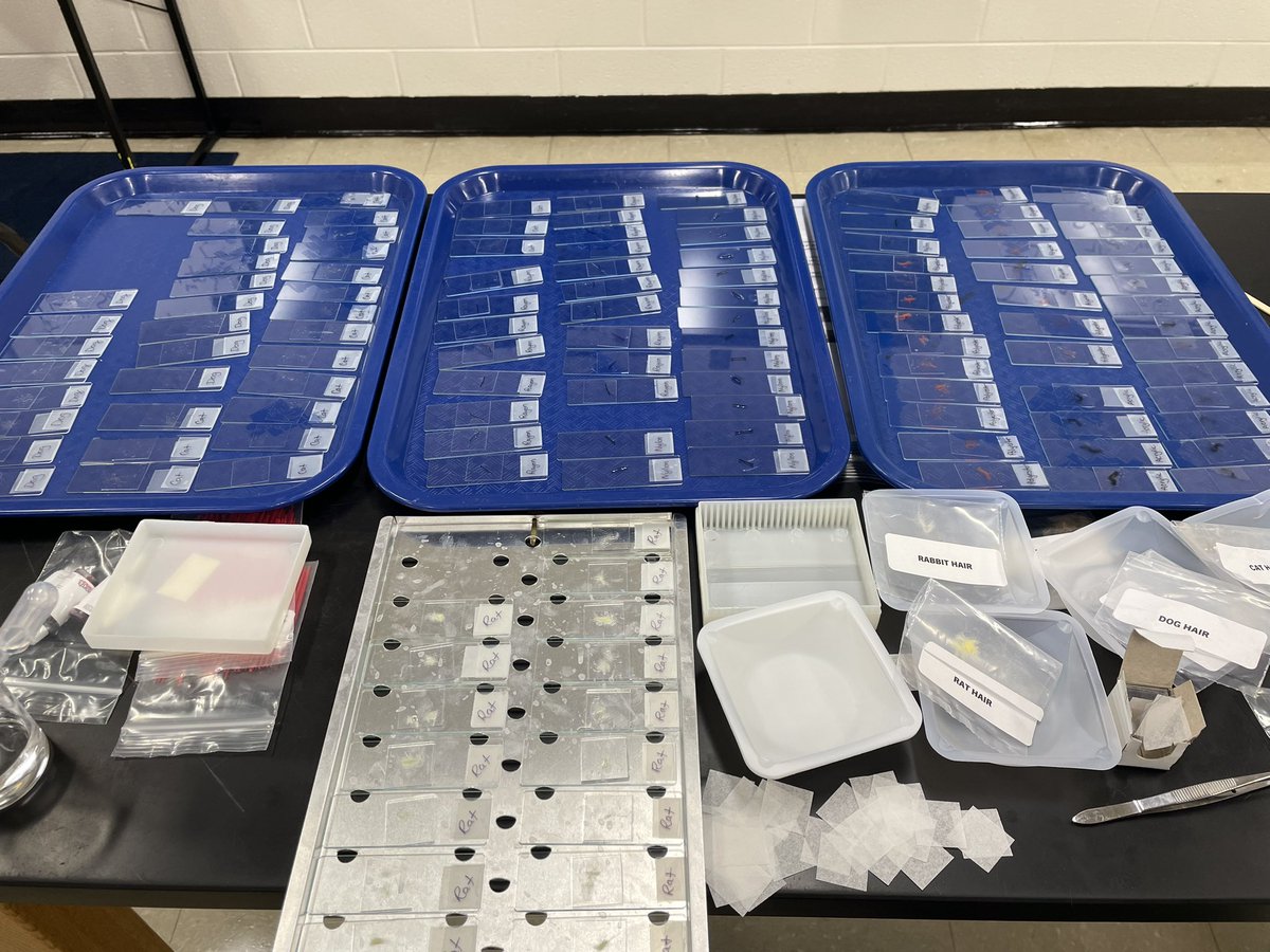 Teamwork makes the dream work… 2.5 hours of making slides for Forensic Science!  We are almost ready for week one of Level Up <a href="/SRMS_Official/">Seneca Ridge Middle</a> <a href="/PropelLevel/">LCPS PROPEL & Level Up</a>