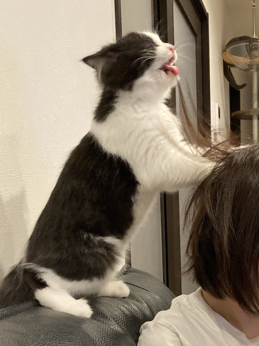 お客様、痒いところはここでよろしかったでしょうか？