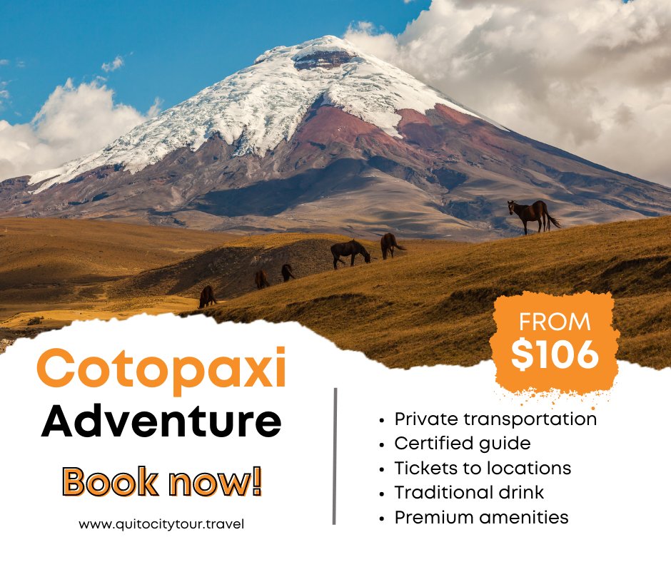 🌋Experience the #Cotopaxi adventure🌋
Interact with the highland's #native flora and fauna at the #NationalPark and ascend to the "José Rivas" refuge located at 4864 m.a.s.l.
Book your #experience now!
bit.ly/3RYQGuV