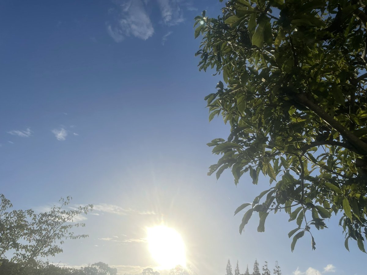 EVENTORSJapan's tweet photo. おはようございます☀
台風も過ぎ、昨晩から今朝にかけて涼しい通り越して寒いです🥶
過ごしやすい気温だと、体を動かしたくなって、イベントに参加したくなりますよね!!!
#イマソラ
#お出かけ
#企業公式が地元の天気を言い合う
#企業公式つぶやき部
今日は #国際平和デー
#EVENTORS https://t.co/zPEa7Yd4N3