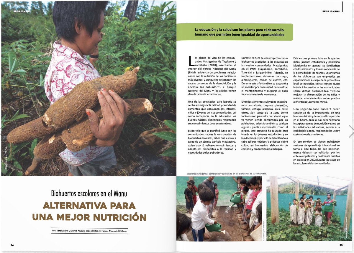 fzsperu's tweet photo. A través de los #biohuertos escolares, se puede mejorar la calidad de los alimentos que consumen los infantes, niños, niñas y jóvenes de las comunidades que habitan dentro del Parque Nacional del #Manu. https://t.co/ZrK3NOsFOl