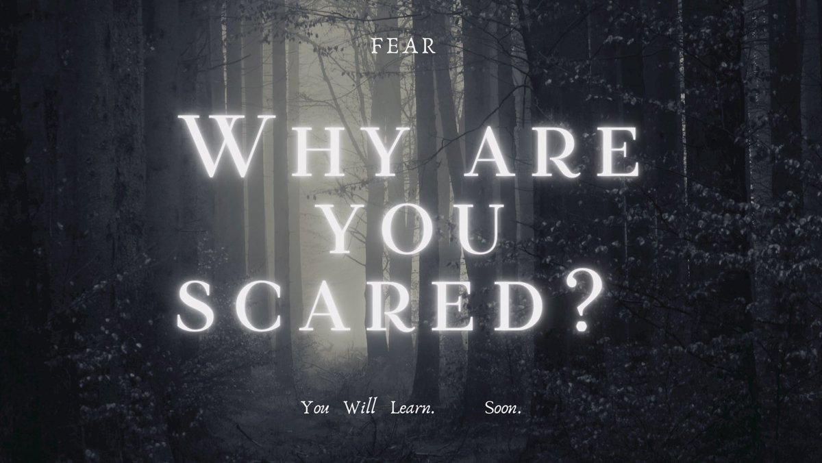 Designing Fear tweet media