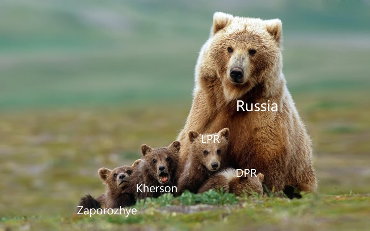 FdIfhVcaIAEDWdf.jpg
