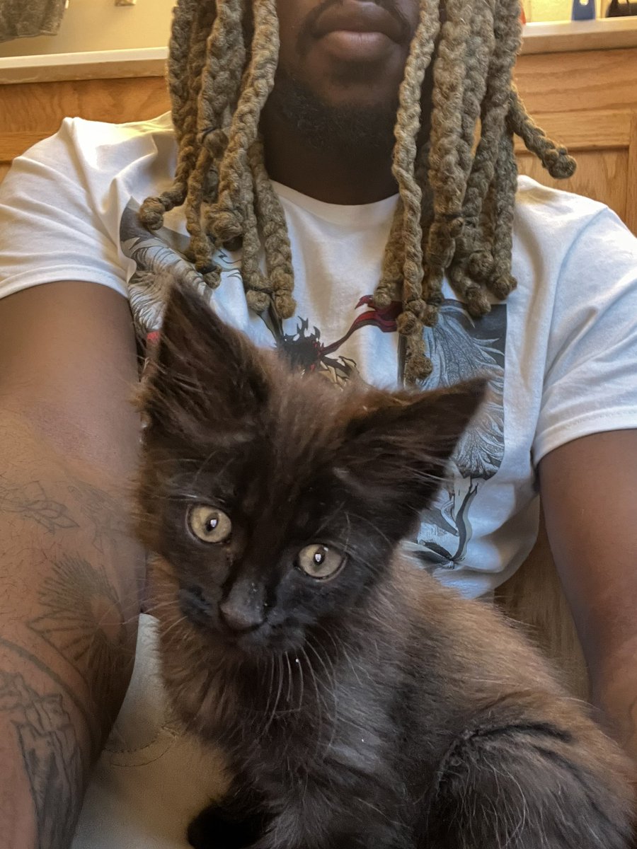 trinnmo's tweet photo. My boys❤️ Simba and Nabu🫶🏽🐱 https://t.co/XM4Z2r9rDU