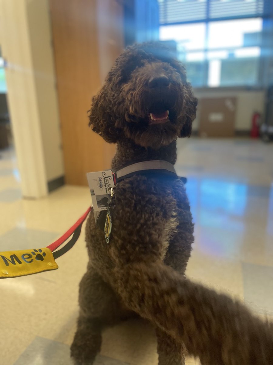 Oakley is wearing his Sachem School ID! ⁦<a href="/SachemHSNorth/">Principal Larson</a>⁩