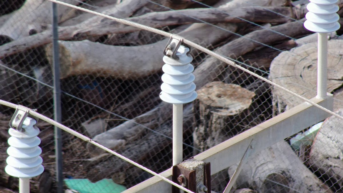 Azure Integrity tweet media