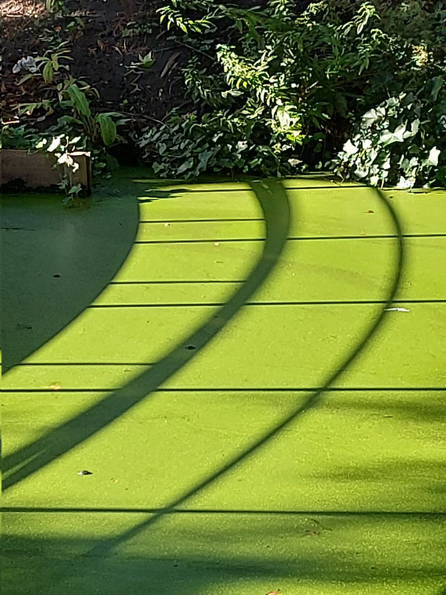 #Haiku #illusie
-
Mijn lijnen zijn schijn
tekenen het licht dat stopt
en botst op de brug...