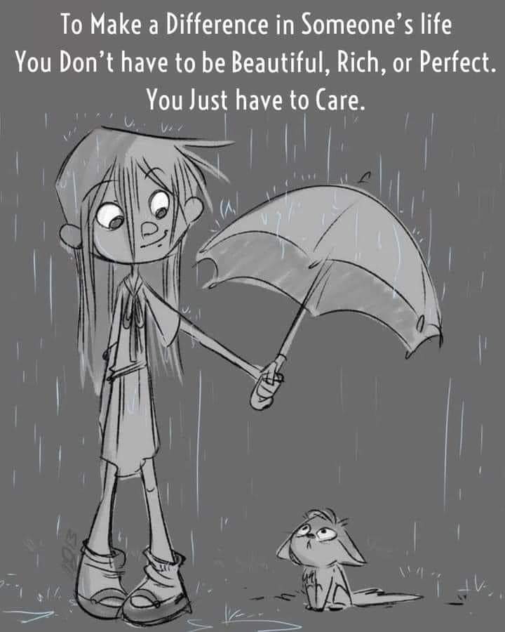 TIPofWNC's tweet image. 