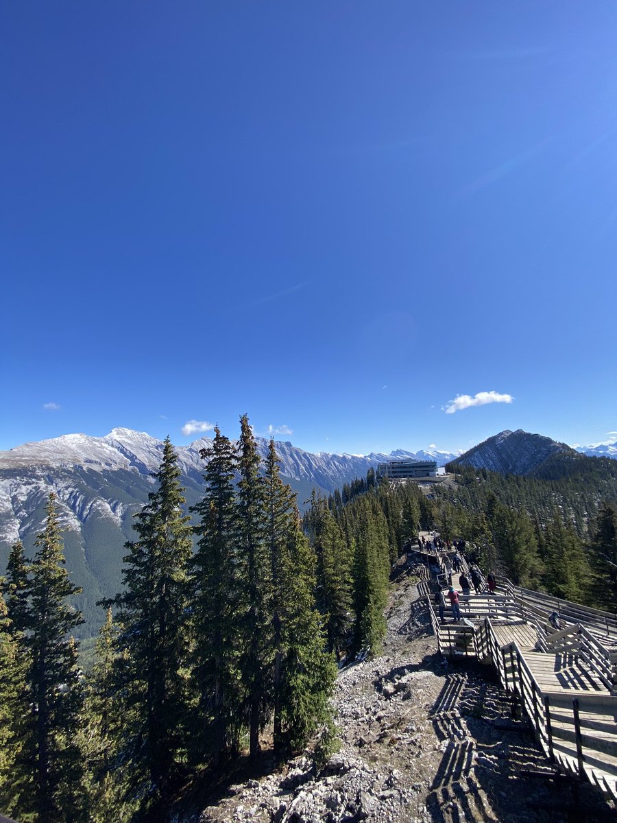 In Banff with @jnfrchandler for the first out-of-town conference of my legal academia career! We’ll be chatting about the ethics of transplant listing criteria tomorrow at the @cst_transplant conference #lawtwitter @ThaddeusPope @DJTreleaven