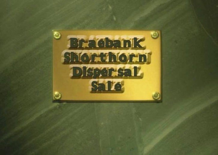 Episode 22 hits the podsphere! 
Rolly joins me on this episode to talk about cows, places and marketing. Rolly has always been a colourful story teller of breed history and past experiences.
Thanks for listening- Kurtis 
Find on Apple/Spotify and all the other.
