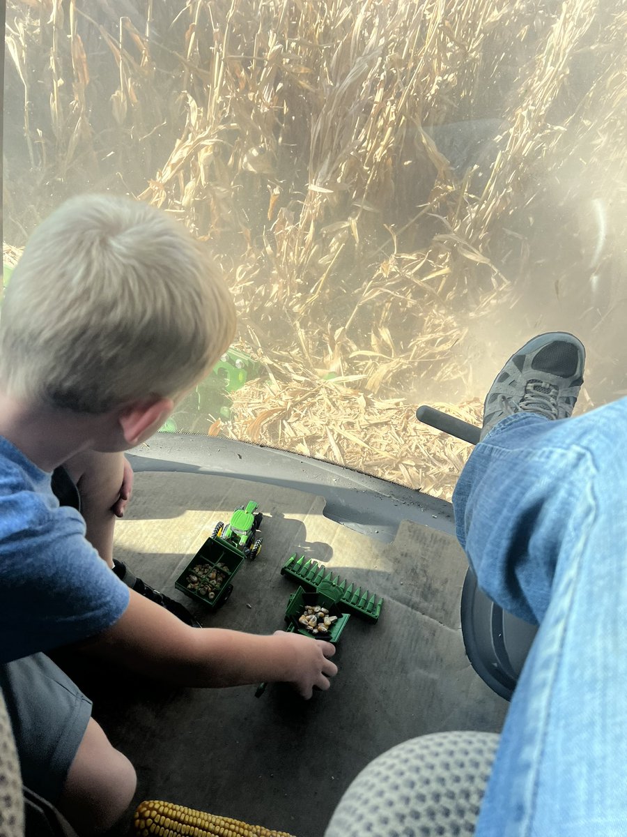broadwayjoe83's tweet photo. Corn harvest has started on all fronts #corn #AgTwitter https://t.co/LMz3DBil7F