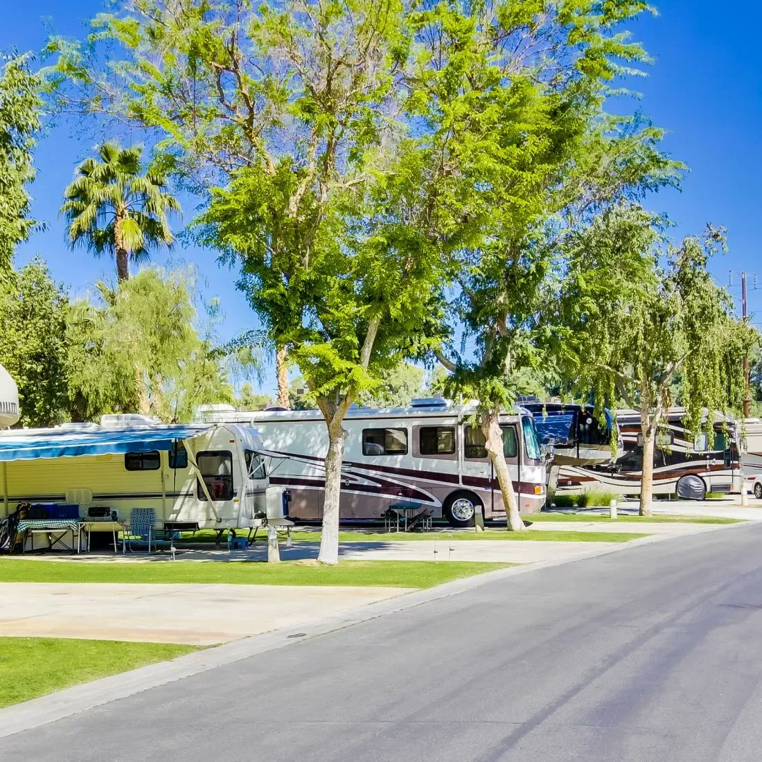 rvlife's tweet photo. Visit Emerald Desert RV Resort In Southern California
#emeralddesertrvresort #rvparks #rvcampgrounds #rving #campgroundreviews #rvlife
https://t.co/rzOzkqciQU https://t.co/Hk4l629P14