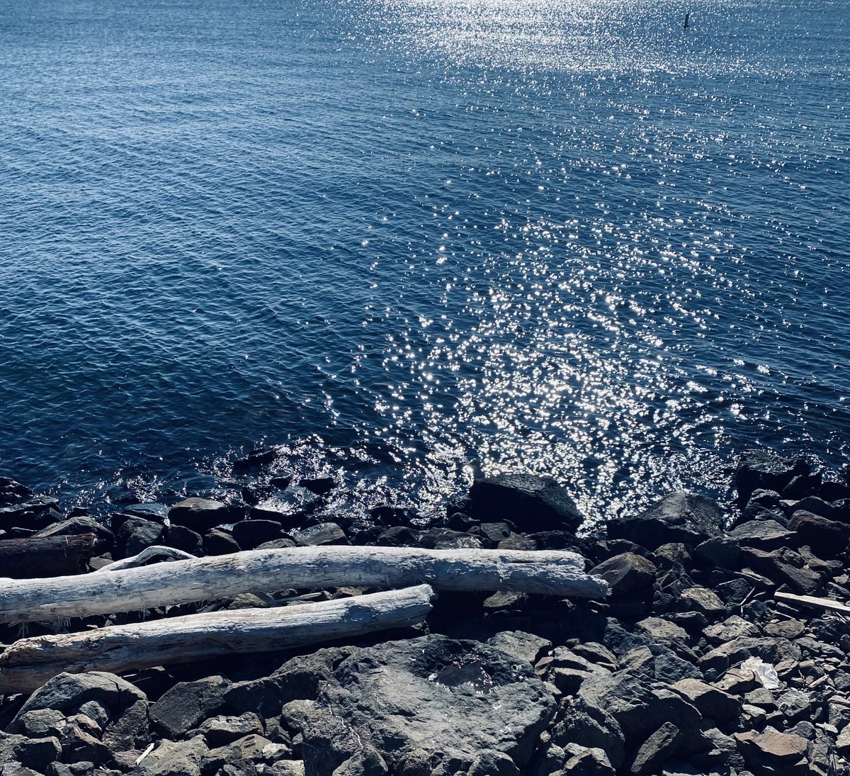 e-xiii (@exiii_v) on Twitter photo 