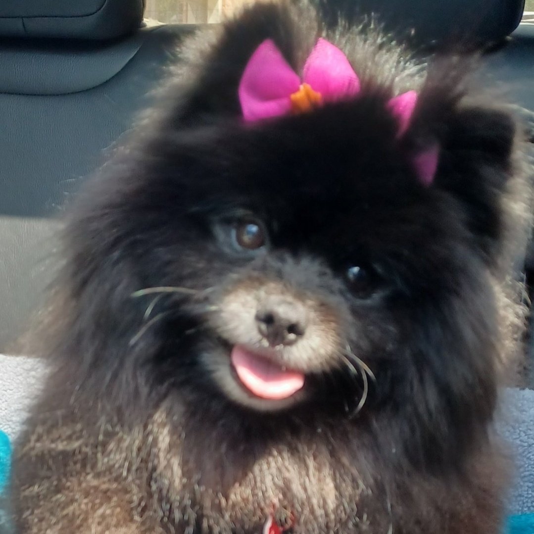 #NewProfilePic #rufflife