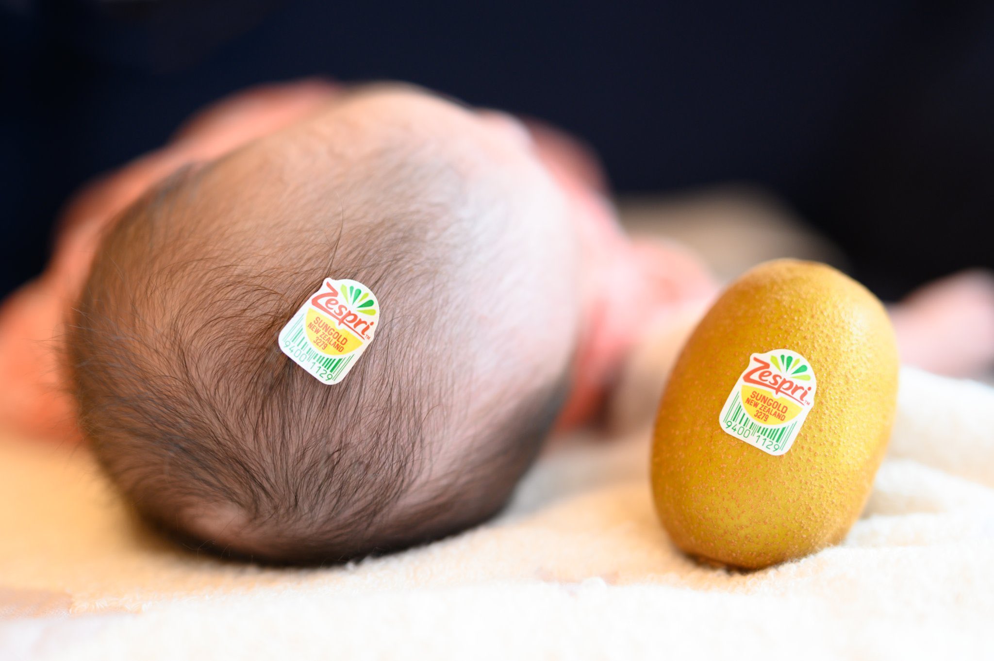 赤ちゃんキウイ Twitter Search Twitter