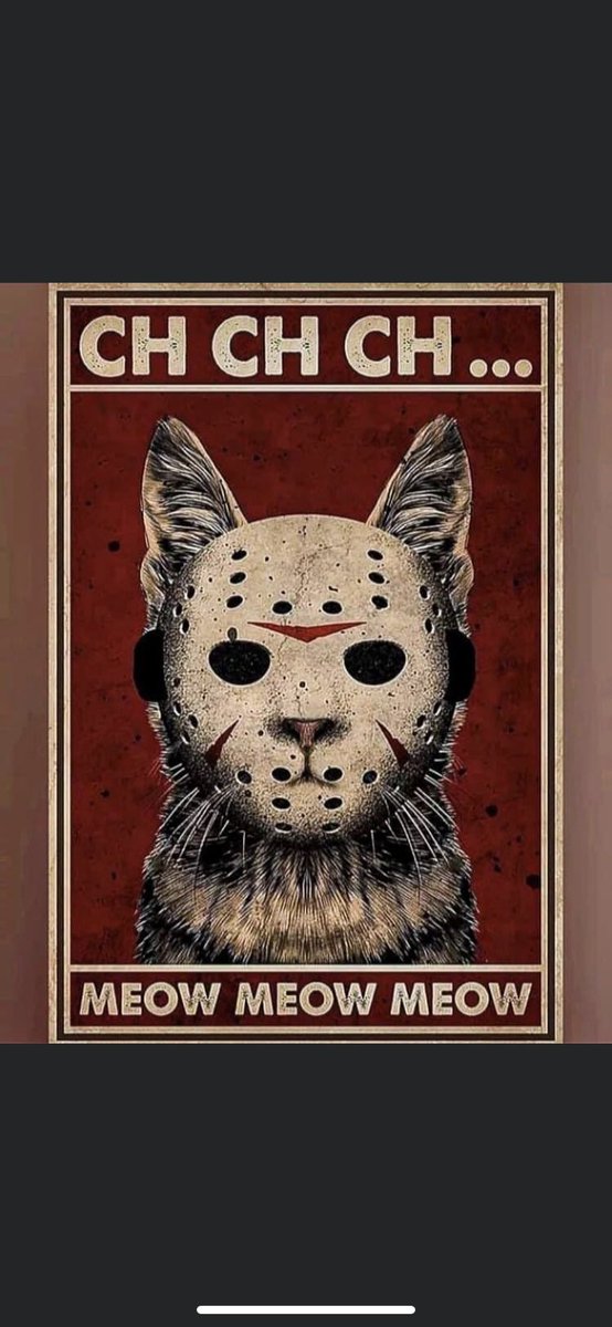 CSmithKinder's tweet photo. Best photo I have seen in a long time… https://t.co/GpGiJpdnMG