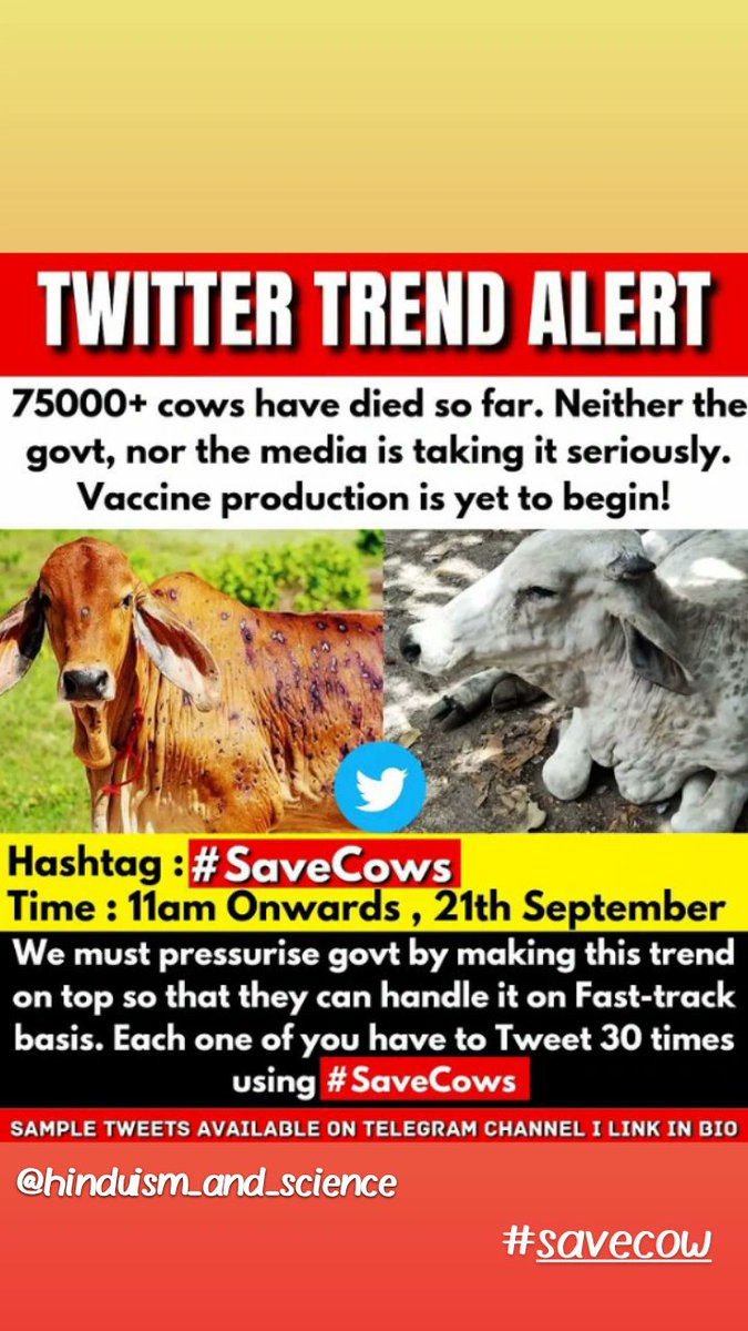 DhirajGupta134's tweet image. #SaveCowSaveRajasthan 
#SaveCowSaveRajasthan 
#SaveCowSaveRajasthan 
#SaveCowSaveRajasthan
#SaveCowSaveRajasthan
#SaveCowSaveRajasthan