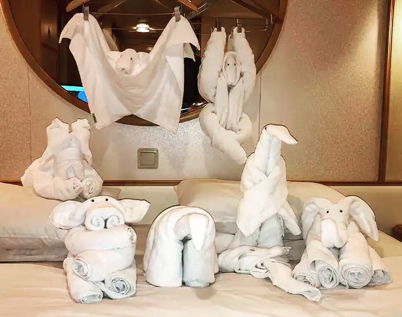 through_al's tweet photo. It’s TOWEL ANIMAL ZOO TUESDAY! #travel #cruising #cruiselife #cruise #Carnival #cute #MardiGras #zoo #TowelAnimal #RCL #RoyalCaribbean #TowelAnimalTuesday #cruiseship #Caribbean #Towel #Fun #Norwegian #memories #funship  #tradition #ncl #msc #CruisingThroughLifewithAlandJeannie https://t.co/LfZTXsg2P4