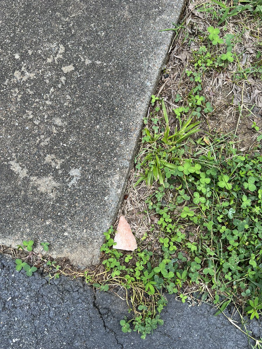 TweetyPAK's tweet image. I&apos;m torn between my love for quartz and not wanting fluorite to go up against it. 😕 In the meantime🤔, here is a (broken) pink quartzite spear *tip* that mysteriously just appeared at my house. 🤷🏻‍♀️🤷🏻‍♀️🤷🏻‍♀️ #Quartz used for #AncientTools #WhereDidItComeFrom