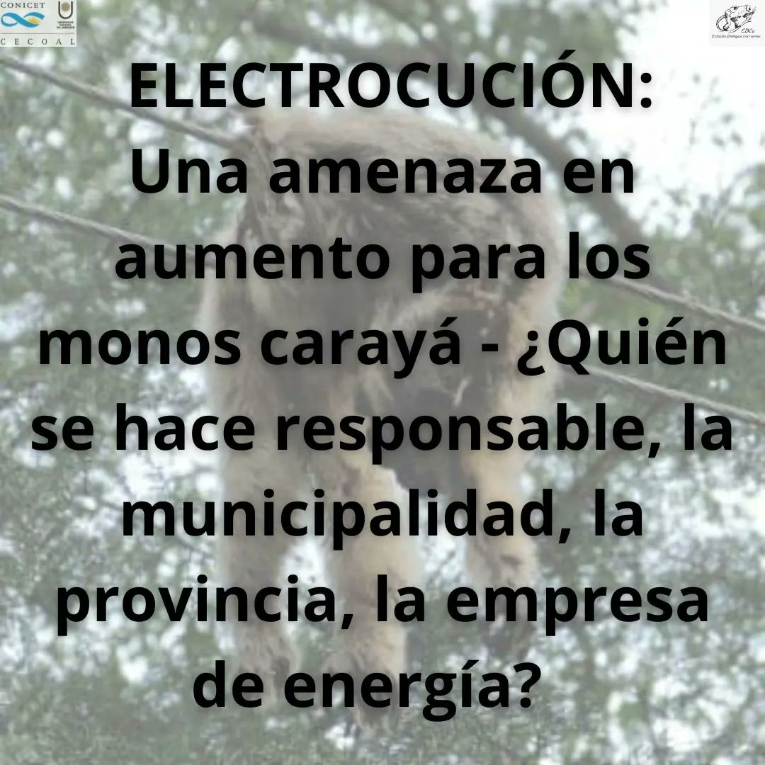 Estación Biológica Corrientes (@estacionbc) on Twitter photo 
