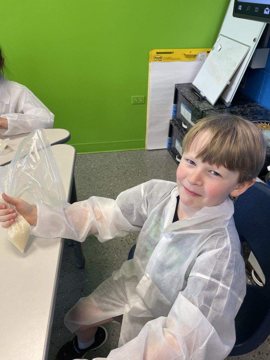 Ms. Tomasevich tweet media