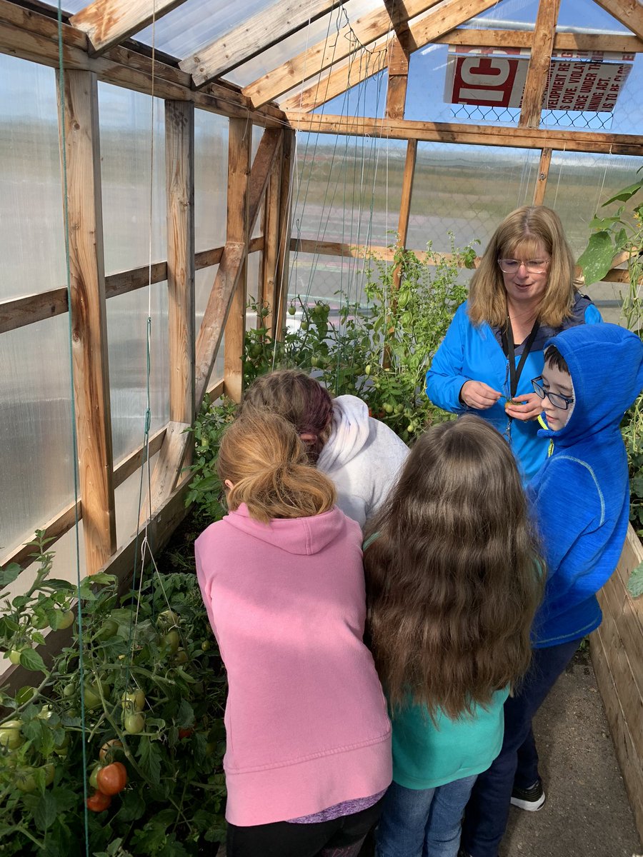 Crystal Penney tweet media