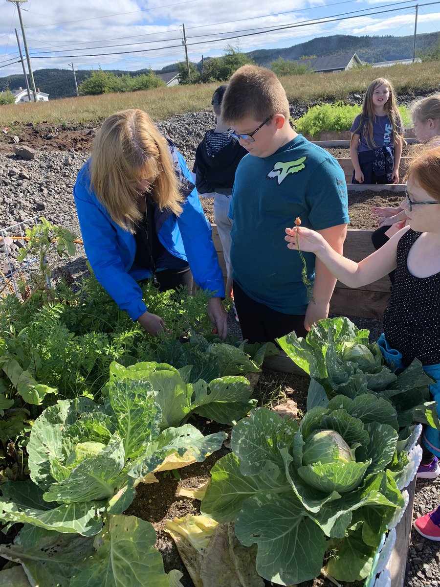 Crystal Penney tweet media