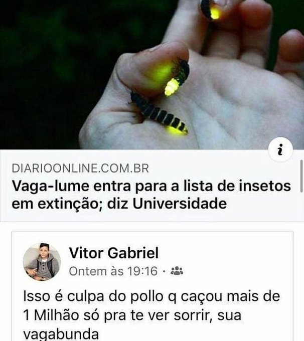Caçar mais 1 milhão