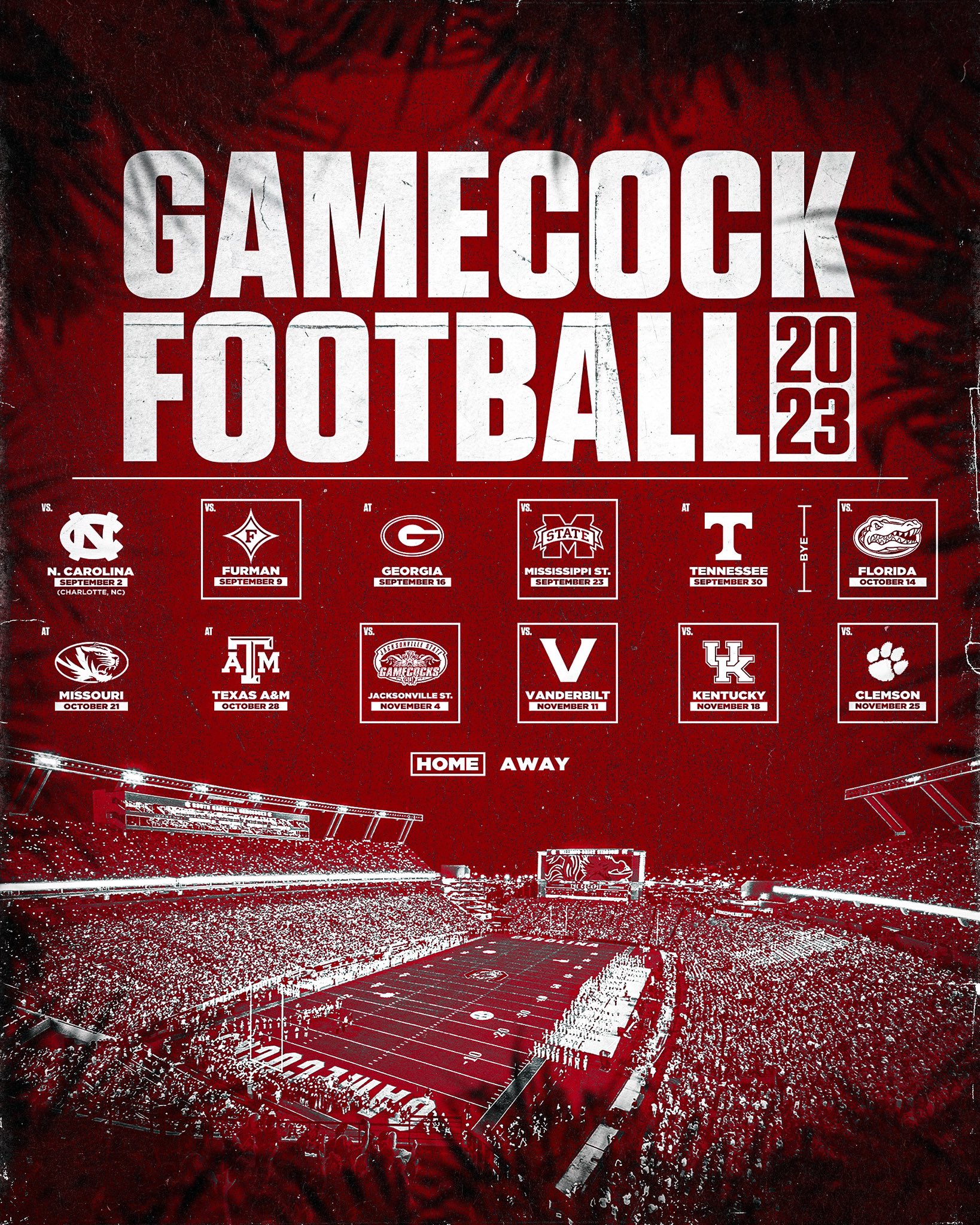 Gamecock Football Score 2025