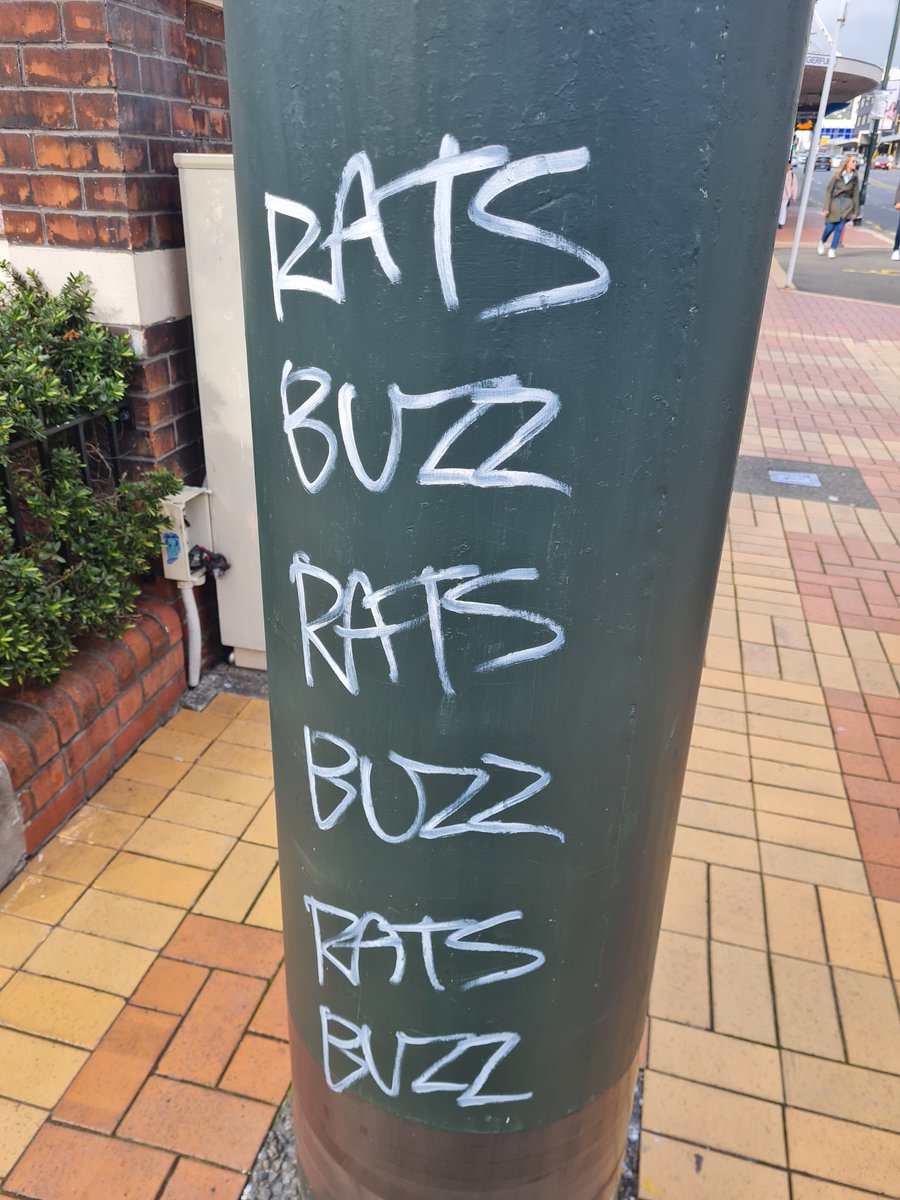 jessierose3's tweet photo. @LeagueOnPrime Guerilla Advertising for Rats: The Musical? Coming to a decrepit Soundstage near me?!
IYKYK
#LeagueOfTheirOwn https://t.co/P6W4OfSoPs