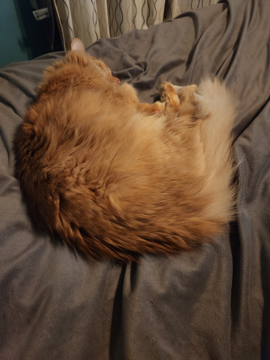 TheDailyFreya's tweet photo. i am just the cutest https://t.co/5D1rXBSvan