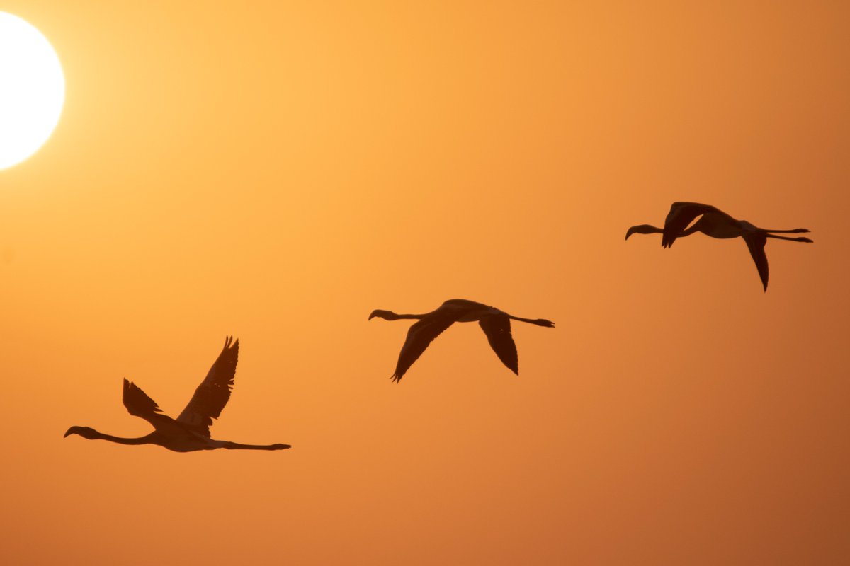 Artık eve dönüş vakti....