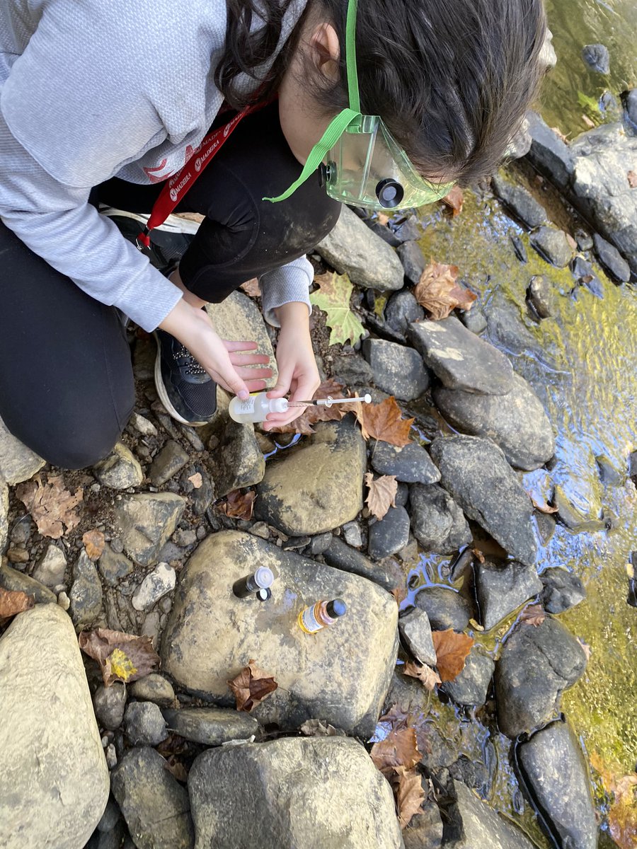MadeiraScience's tweet photo. #MadeiraScience students in the #FieldEcology class are doing a #WinklerTitration to measure the dissolved oxygen content of #DifficultRun for our #NetPrimaryProduction calculations! https://t.co/CCtECrXOSj