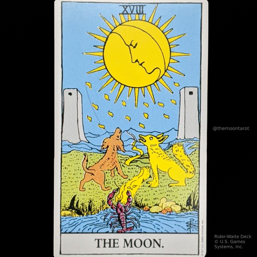 themoontarot_'s tweet photo. Today's Energy Reading: September 24, 2022 https://t.co/gllK2r1QE7