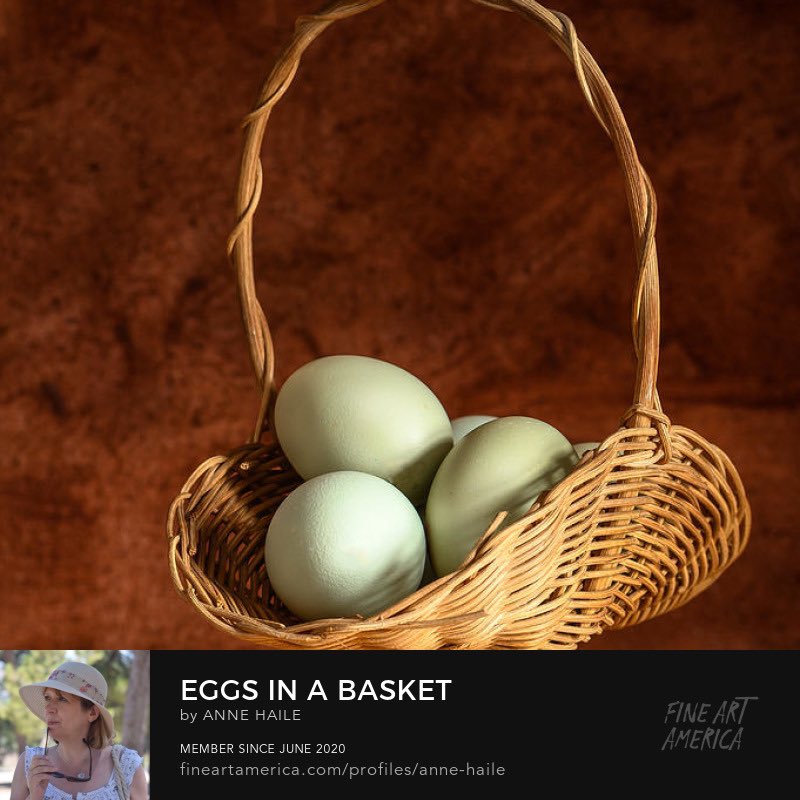 Fon Denton on Twitter "RT AnnesPhotos Blue hens eggs for breakfast