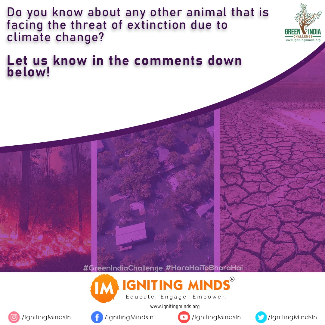 ignitingmindsog's tweet photo. Save the planet, for a sustainable future :)

#HaraHaiTohBharaHai
#GreenIndiaChallenge
#ClimateChange #GlobalWarming #Environment #SaveSoil #SaveNature #IgnitingMinds #VasudhaikaKutumbakam #5YearsofGIC

2/2 https://t.co/rovQy2kYwK