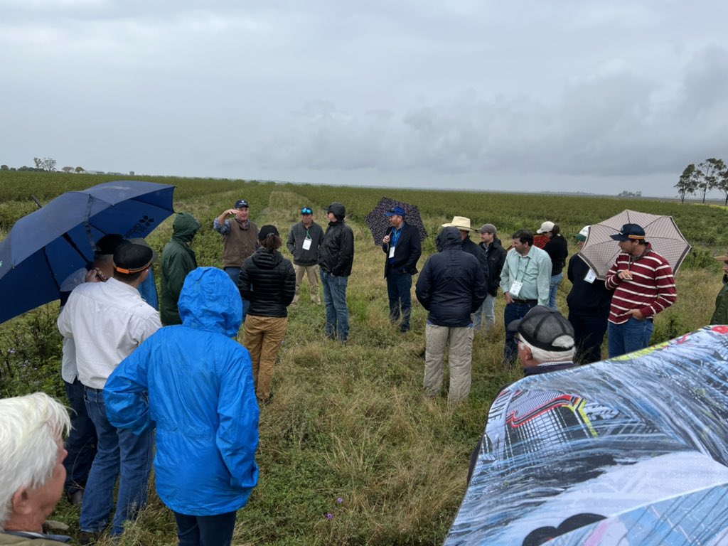 Not afraid to step off the tour bus, this bunch of agronomists were treated with green pastures including leucaena @ Dalby. #agronomy2022 <a href="/AgronomyAus/">Agronomy Australia</a>