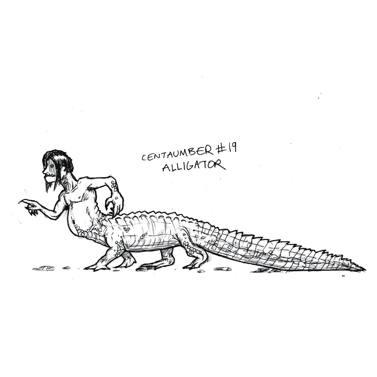 byduncanshields's tweet photo. My September drawing challenge this year is Centaumber which will be the 'centaurification' of non-horse animals. This is #19: Alligator. #centaumber #centaur #inktember #hybrid #animal #alligator https://t.co/wyyTNnRzHx