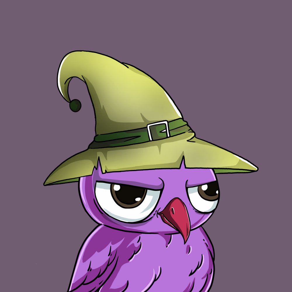 0xDominoGirl's tweet photo. @wizardowls to the moon!! https://t.co/CMooJQqvHU