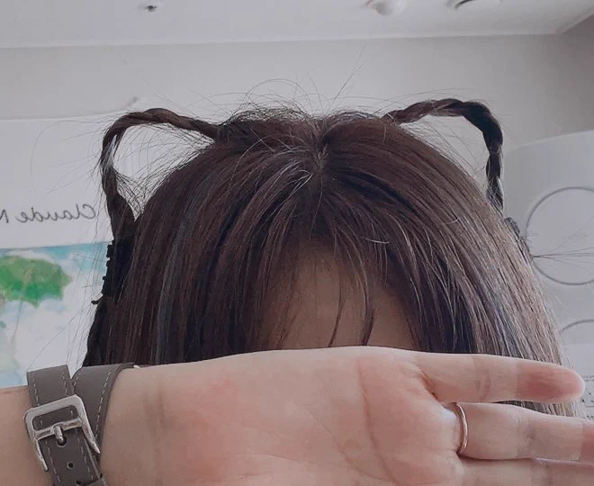 묘묘  네코미미 만듦리얼 고양이가 되기로 했다(아무말 