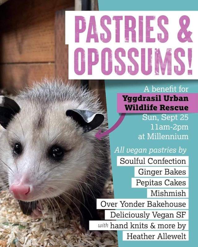 YggdrasilWild's tweet photo. Yummy Fundraiser for us! Vegan pastries! Sunday, Sept 25, 2022 from 11am to 2pm. Millennium Restaurant, 5912 College Avenue, Oakland, 94618 https://t.co/BjvvnBbOSn