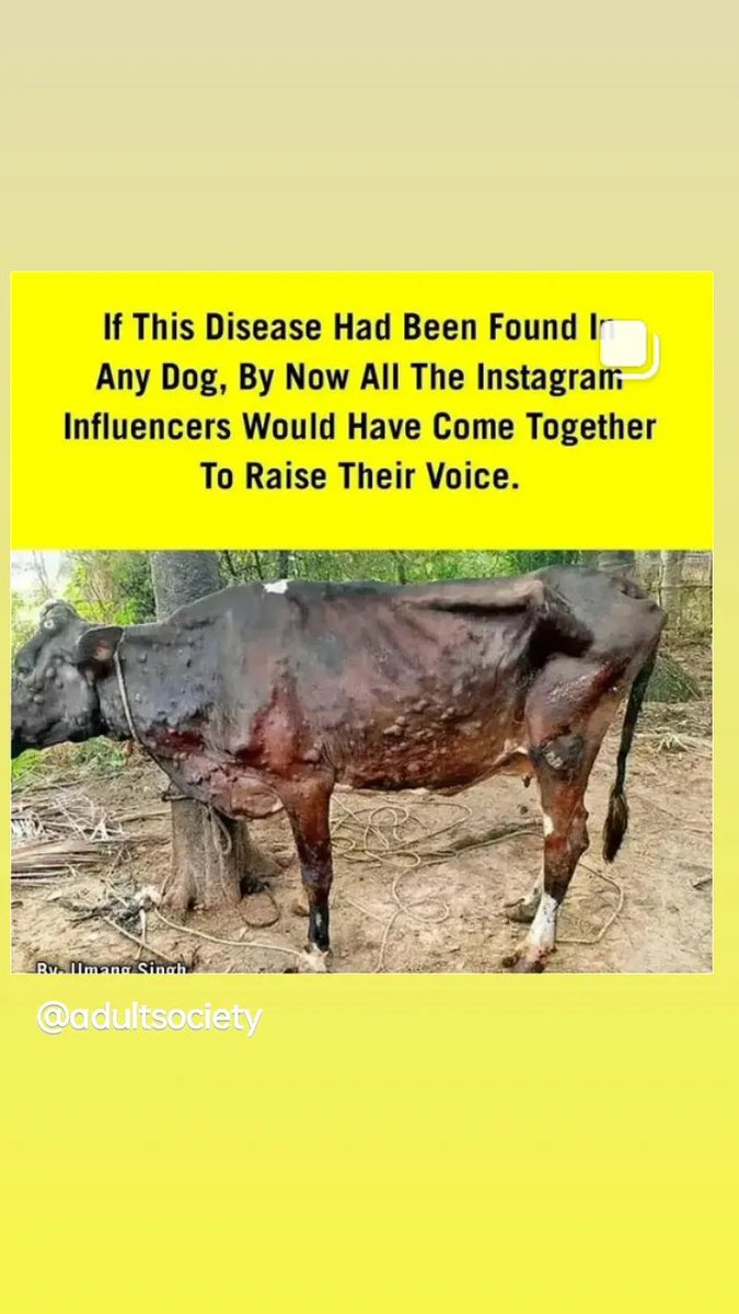 Narendrathaur's tweet photo. #LumpyVirus killing our cattle
Time to raise our voice for them..
Government should take immediate steps towards this lumpy virus..
#savecows #SaveCowSaveRajasthan 
Retweet it https://t.co/5piTs0CcV0